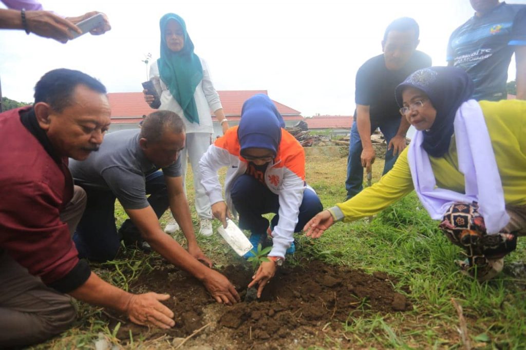 Tanam Pohon Gaharu, Tatong : Wanginya Itu Khas