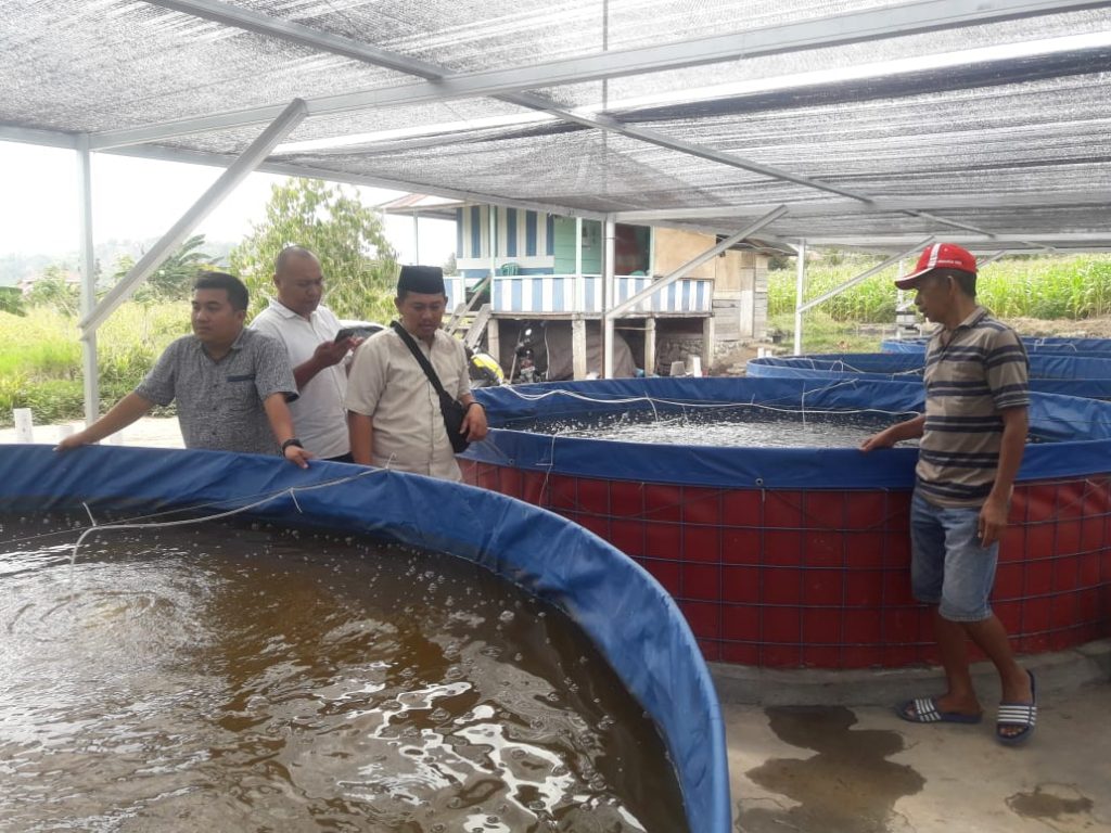 Warga Biga Kembangkan Budidaya Ikan Nila dan Lele Sistem Bioflok