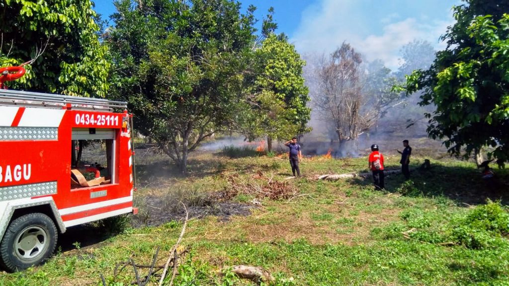 Kebakaran Lahan Terjadi di Gogagoman