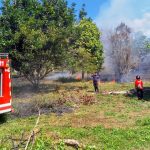 Kebakaran Lahan Terjadi di Gogagoman