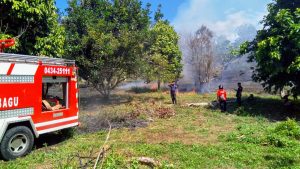 Kebakaran Lahan Terjadi di Gogagoman