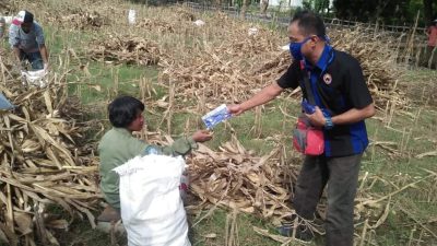 GPN Pilih Bagikan Masker Kepada Petani