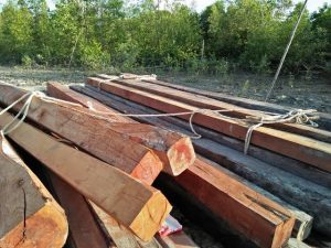 Soal Penyitaan Kayu Hasil Ilegal Logging, Polsek Paguat Masih Lakukan Penyelidikan