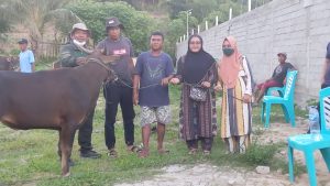 RMC APRI Pohuwato Serahkan Bantuan Sapi Qurban di 5 Desa