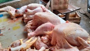 Harga Ayam dan Daging Sapi Mulai Naik