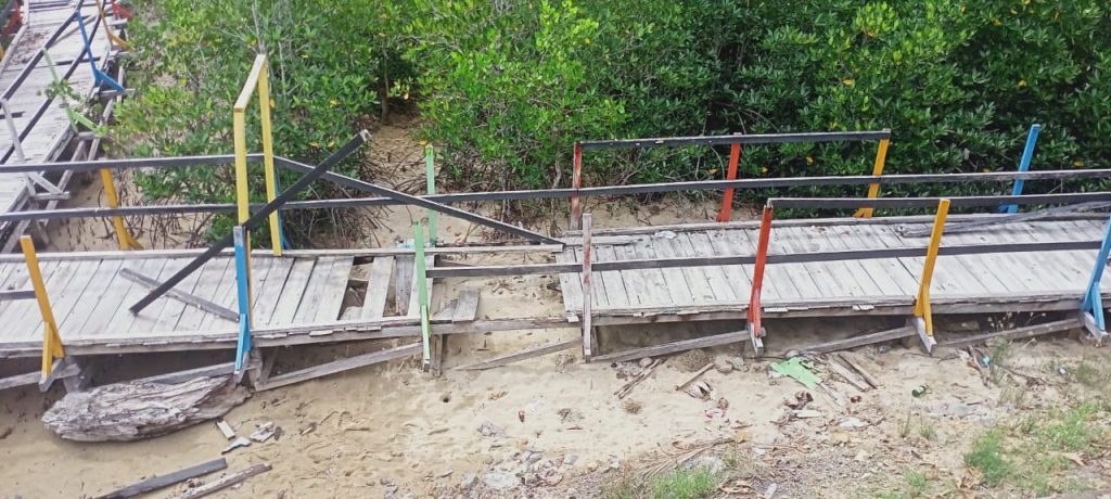 Tracking Wisata Mangrove Pocin Mulai Rusak, Pengunjung Mengeluh