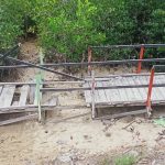 Tracking Wisata Mangrove Pocin Mulai Rusak, Pengunjung Mengeluh