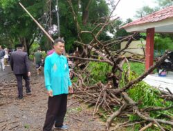 Pohon Tumbang Warnai Pelantikan Anggota DPRD Pohuwato